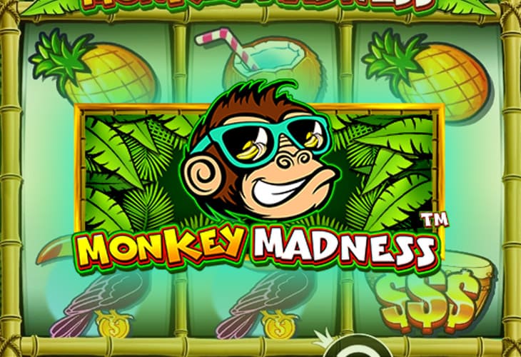 Monkey Madness - Pragmatic Play slot at Bison Kasyno Polska Casino